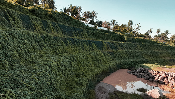 Keeping The Slopes Stable & Green